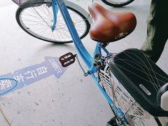 -永久自行车旗舰店(上海No.001店)