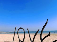 -巧克力渔家.小船海鲜家常菜(万平口店)