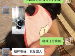 -申普宠物医院·心脏介入·心血管微创(总院)
