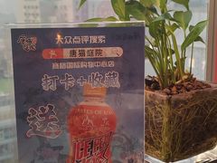 -唐猫庭院·千年陕菜(赛格国际购物中心店)