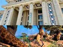 -国家自然博物馆