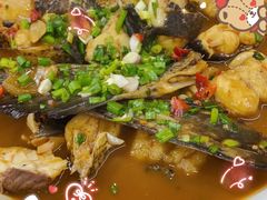 -全乐鱼馆·淳牌有机鱼直营店