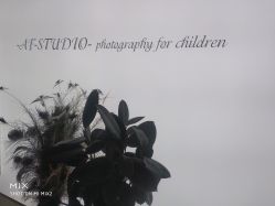 -Angel Fish photography 儿童摄影工作室(亚运村店)