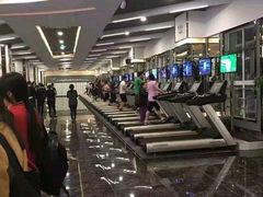 -金吉鸟健身游泳