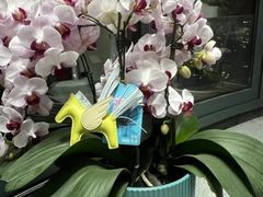 -如果·追梦手工皮具DIY教学店(田子坊店)