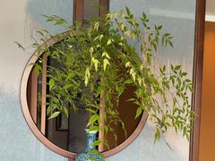 -龙井御庄·精致江南菜(龙井店)
