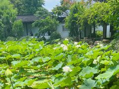 -上海醉白池公园