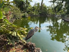 -海南热带野生动植物园