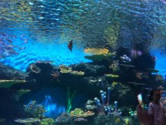 -华夏文旅西安度假区