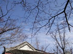 android_upload_pic-南通博物苑-崇川人民公园