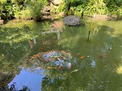 -广州兰圃
