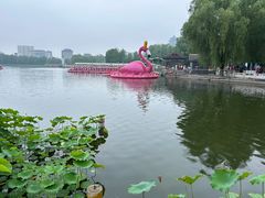 -莲花池公园