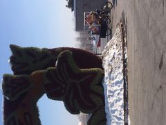 -长春公园(普阳街道)