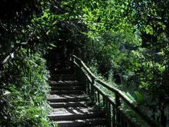 -酒仙湖景区