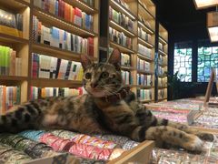 -猫的天空之城概念书店(杭州南宋御街店)