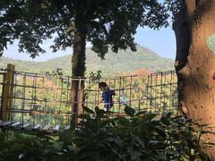 -杭州少年儿童公园