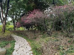 -宝界山林公园