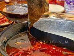 -阳阳老火锅(小南门店)