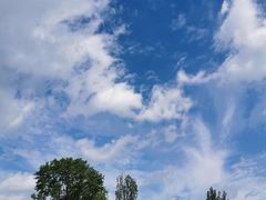 -两河城市森林公园