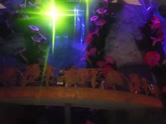 -兰剑驾校(汉阳校区)