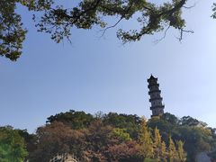-江心屿景区
