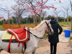 -广东花都香草世界旅游度假区