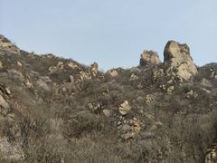 -大岭沟猕猴桃谷风景区