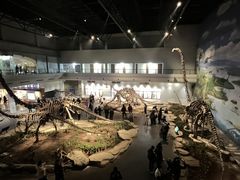 -自贡恐龙博物馆