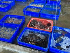 -幸福姐海鲜大排档