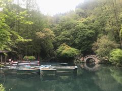 -灵栖洞天