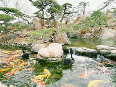 -罗红摄影艺术馆