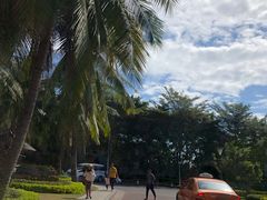 -范饭椰林川湘味海鲜·椰子鸡(三亚湾椰梦长廊店)