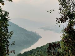 -铁山坪森林公园