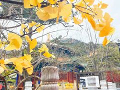 -潭柘寺景区