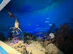 -国家自然博物馆