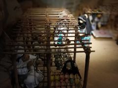 -成都泰迪熊博物馆
