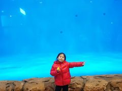 -华夏文旅海洋公园