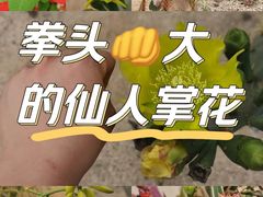 -东莞植物园