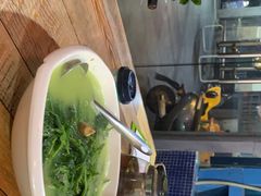 -东鸽皇(奥园·中环广场店)