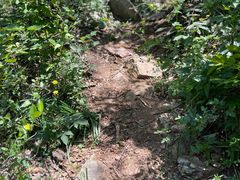 -涂山风景区