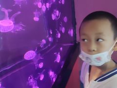 -烟台海昌鲸鲨海洋公园