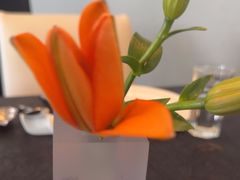 -大董(华贸购物中心店)