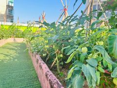 -江门市中天国际艺术幼儿园