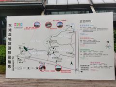 -东平国家森林公园