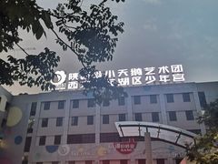 -陕西省小天鹅艺术团