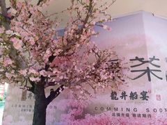 -翠微百货(龙德店)