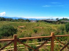 -白草畔自然风景区