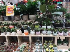 -AEON永旺(东方宝泰店)