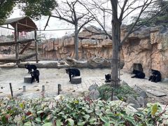 -上海野生动物园