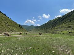 -蔚县茶山村